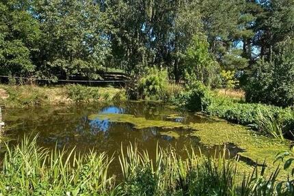 Haus Konradsreuth - 12 Zimmer, 500 m&sup2;, 299.000&euro; | Angebot:26226229