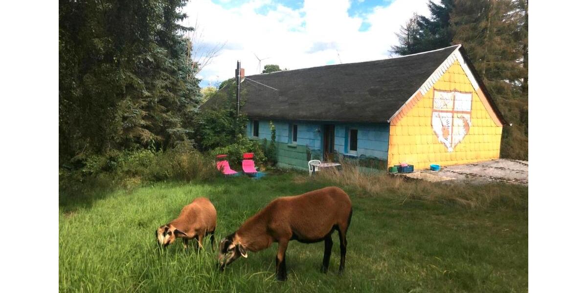 Mehrfamilienhaus, Wohnhaus Gefell - 14 Zimmer, 300 m&sup2;, 350.000&euro; | Angebot:26869208