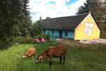 Mehrfamilienhaus, Wohnhaus Gefell - 14 Zimmer, 300 m&sup2;, 350.000&euro; | Angebot:26869208