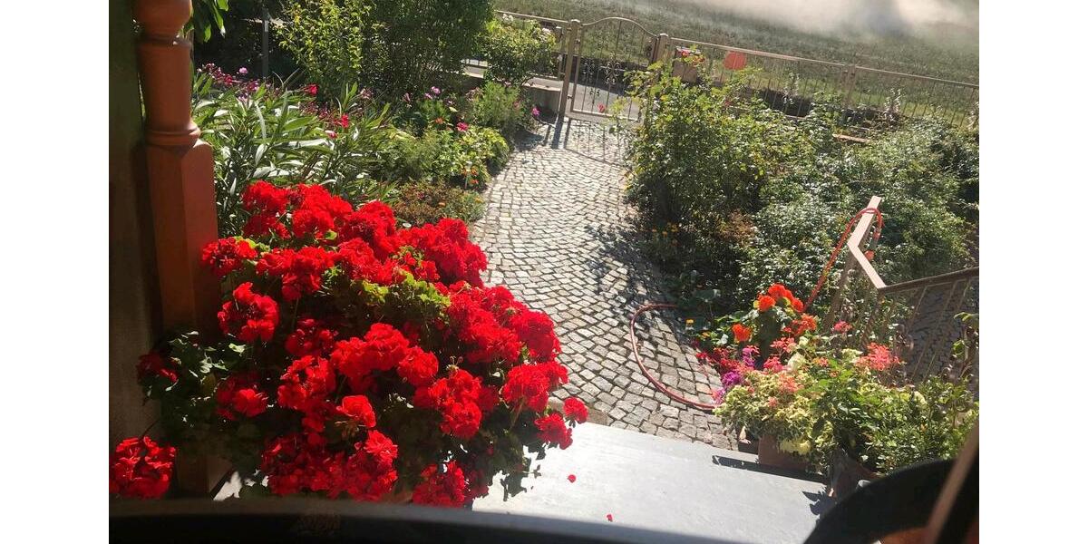 Einfamilienhaus Schleiz - 6 Zimmer, 198 m&sup2;, 550.000&euro; | Angebot:26981969