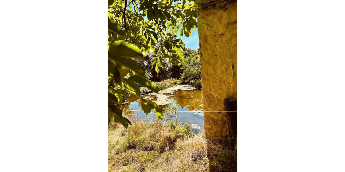 Einfamilienhaus Konradsreuth - 12 Zimmer, 500 m&sup2;, 299.000&euro; | Angebot:25332135