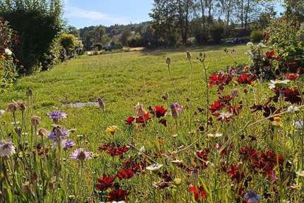 Grundstück Bad Steben - 70.000&euro; | Angebot:25819609