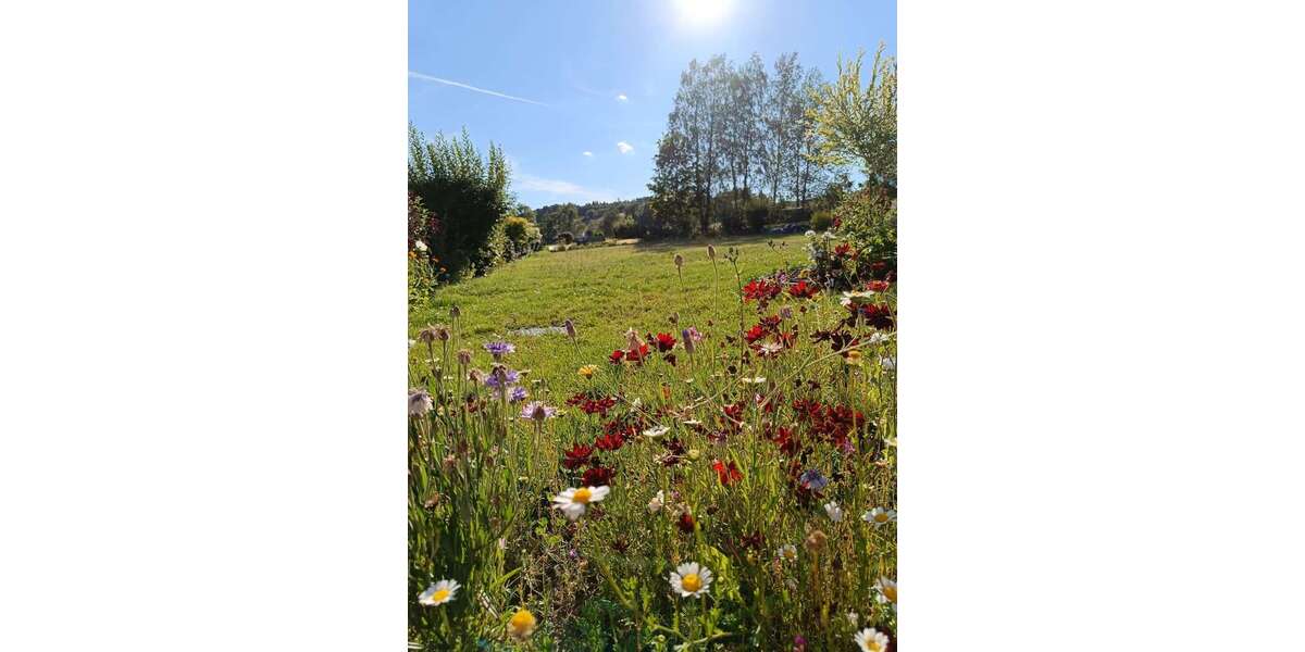 Grundstück Bad Steben - 70.000&euro; | Angebot:25819609