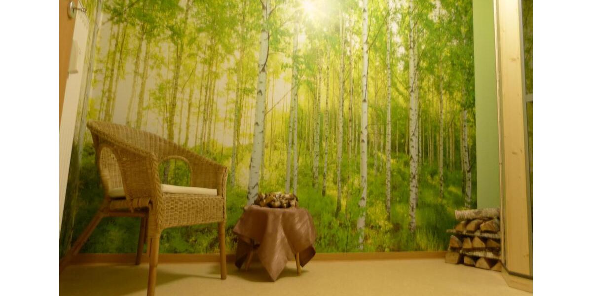 Etagenwohnung Bad Elster - 1 Zimmer, 37 m&sup2;, 320&euro; | Angebot:24418360